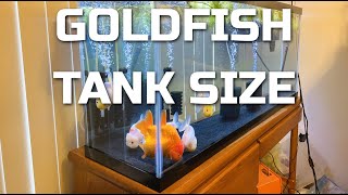 Goldfish Tank Size  How big does your tank need to be [upl. by Chip]