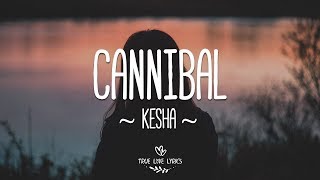 Kesha  Cannibal Lyric Video [upl. by Saint]