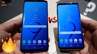 Samsung Galaxy S9 Vs Galaxy S9  The Main Differences [upl. by Fernandes]