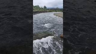 relaxing running water satisfying trending nature shorts [upl. by Amelia]