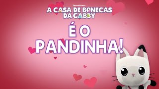 CONHECE O PANDINHA 😻 [upl. by Ybrad]