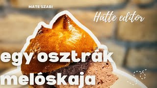 🔴A SÓGOROK FASÍRTJA  a LEBERKÄSE [upl. by Lanahtan933]