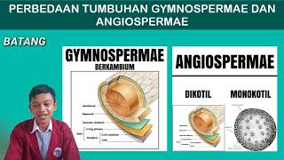 Perbedaan tumbuhan gymnospermae dan angiospermae [upl. by Claretta760]