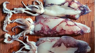 Encornets à la provençale  Provencalstyle squid [upl. by Notlem]