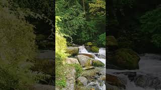 Naturebeauty love music romantic manali fountain gulabisadi [upl. by Atinaw]