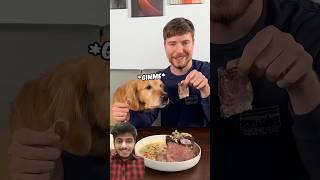 Mr beast feeding a dog 1 vs 10000 Steak 🥩🍗 WoW 🤯 mrbeast haasinmukhtar haasinmukhtarking [upl. by Whiffen731]