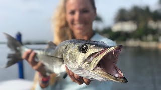 Catching MONSTER BARRACUDA Deep Sea Fishing with Fans [upl. by Kciv]