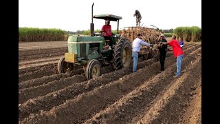 Sugarcane research bolstered by donation by Harry L Laws amp Company [upl. by Pax]