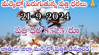 2192024 జాతీయ మర్కెట్లో పత్తి ధర today cotton price today cotton rate cotton price today పత్తి [upl. by Yram156]