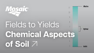 Fields to Yields  Chemical Aspects of Soil [upl. by Bogusz367]