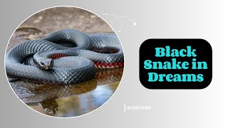 What Does a Black Snake Symbolize in Your Dreams Unraveling the Mystery [upl. by Yerd764]