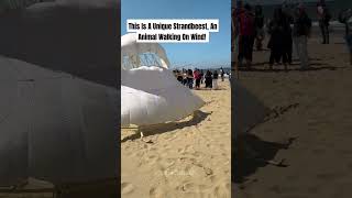 Strandbeest wonderful sculpture sculpture sciencefacts facts sculpting physics [upl. by Ahsar]