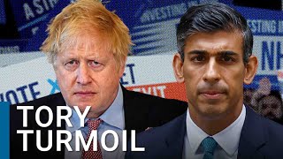 Why Boris Johnson’s resignation puts the Tories in ‘political turmoil’  Vernon Bogdanor [upl. by Marrilee]