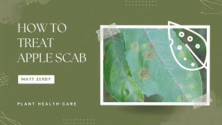 How to treat Apple Scab on Crabapples [upl. by Etti]