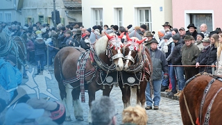 Gastspiel der Schwergewichte Berchinger Rossmarkt  Bayernkurier [upl. by Hazard678]