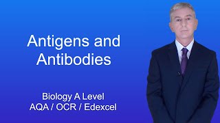 A Level Biology Revision quotAntigens and Antibodiesquot [upl. by Yrffej]