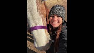 Rescued Belgian Draft Horses Update Part 2 Ep12 [upl. by Ahsienat341]