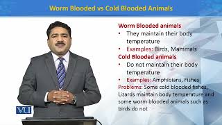 Warm Blooded Vs Cold Blooded Animals  Principles of Systematics  ZOO511TTopic194 [upl. by Saphra]