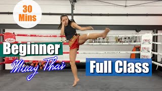 BEGINNER MUAYTHAI FULL CLASS  30 Mins amp No Equipment [upl. by Forrester]