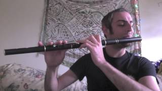 Lilting Banshee  Irish flute  slowfast [upl. by Oijimer]