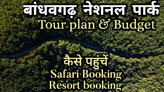 Bandhavgarh National Park plan  bandhavgarh Tiger Reserve Tour  how to book safari  Tour Guide [upl. by Aietal820]