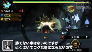 【MHP3】村クエランナー第11回「ギギネブラをシューティング」 [upl. by Webb]