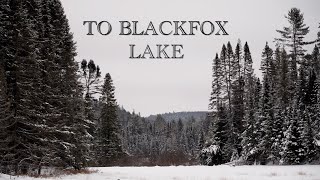 ALGONQUIN Winter Trekking to Blackfox Lake [upl. by Sucramd310]