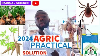 NECO 2024 AGRIC PRACTICAL QUESTION AND ANSWERS tutorial [upl. by Airotkciv]