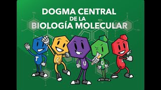 Dogma central de la biología molecular [upl. by Sonstrom]