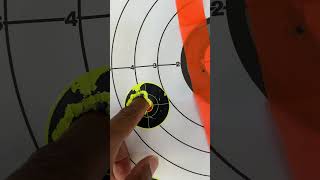 Is TAC 22 any good norma 22lr 50yards [upl. by Hamforrd885]