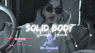 Solid Body Slowed Reverb Latest Trending Song 2024 [upl. by Nnyllatsyrc]