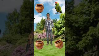 Rounding clay pots to Peacock Duck Pigeon amp Parrot  Birds names magic video [upl. by Cleon]