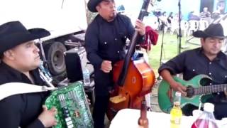 EL TERCER JALONLOS BANDA JR [upl. by Aterg]