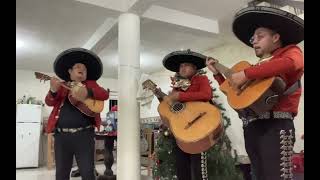 TrimariachiTrio Ranchero De Javier Martagón 7841367243 Papantla [upl. by Assilram]