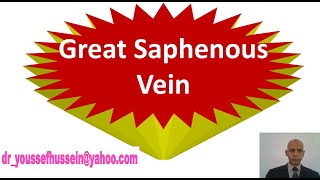 32 Great saphenous vein [upl. by Yve]