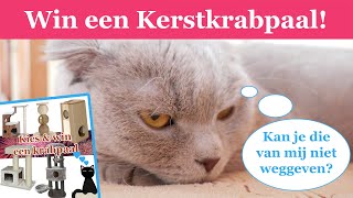 Nieuwjaars krabpaal giveaway [upl. by Calandria]