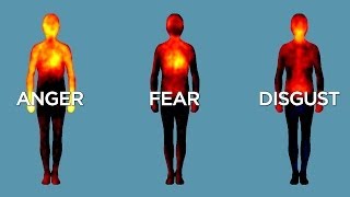 Science Bulletins Mapping Emotions in the Body [upl. by Asserak]