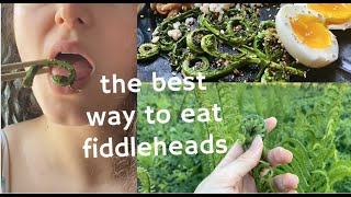 How to cook fiddleheads SAFELY  delicious fiddlehead fern recipe Healthy cheap delicious [upl. by Aletta]