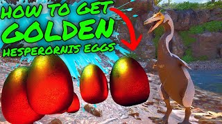 The BEST WAY to GET GOLDEN HESPERORNIS EGGS in Ark Survival Ascended [upl. by Sev829]