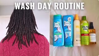 NOT YOUR REGULAR WASH DAY ROUTINE FOR LOCS [upl. by Okajima]