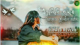 Bhulini Tomay ajo bhulini ami ভুলিনি তোমায় আজও ভুলিনি আমি new slowed reverb lofi sad song ll [upl. by Roath]