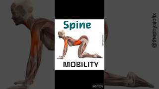 3 exercises to improve spine mobility  Arogya physiotips spinemobility [upl. by Anera]