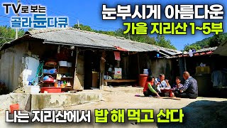 선선해진 어느 가을 지리산에서 따뜻한 집밥 차려 먹는 사람들 모음집｜내 고향은 지리산입니다｜한국기행｜골라듄다큐 [upl. by Leelahk85]