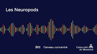 Les Neuropods  Épisode 2  Cerveau concentré [upl. by Yboc]