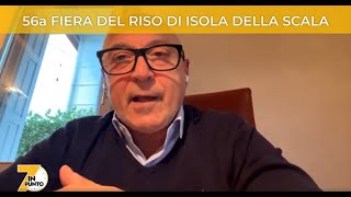 7INPUNTO FIERA DEL RISO DI ISOLA DELLA SCALA [upl. by Rramaj291]