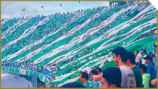 TORCIDA DO PALMEIRAS NA FINAL DA LIBERTADORES 2021 [upl. by Wurst125]