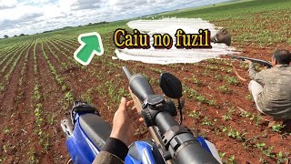 Morreu com 1 tiro de FUZIL 🐗🔫 [upl. by Edge]