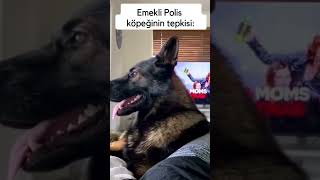 Emekli köpek 🐶🐶 [upl. by Nahij]