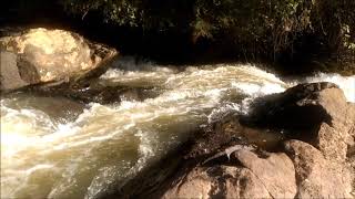 Rio Camanducaia prainha em mostarda 258 trilha das Cachoeiras pedroromano73 meditação [upl. by Lyrahc]