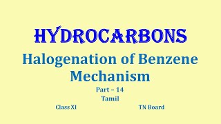 Hydrocarbons Class 11 Part 14Halogenation of Benzene Mechanism TN Board tamil psz chemistry [upl. by Lampert94]